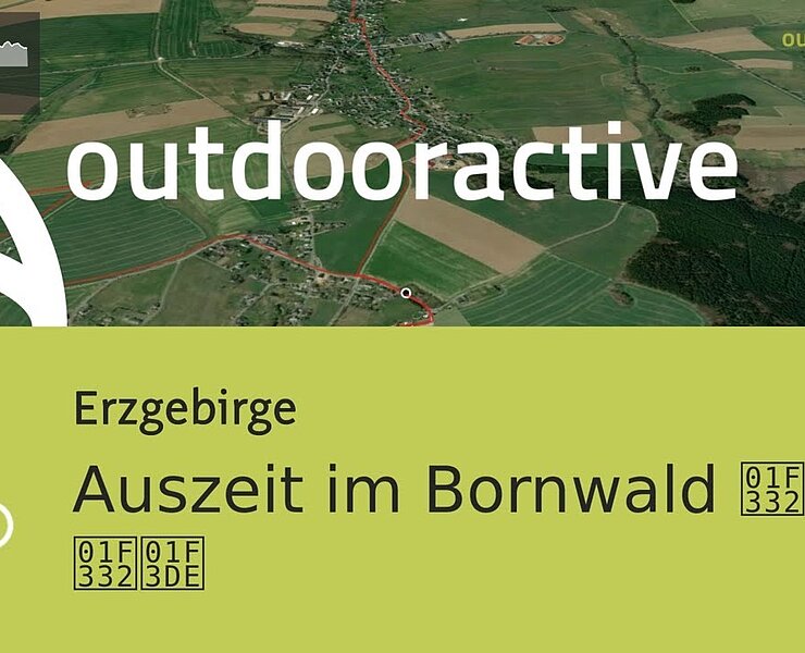 Radtour im Erzgebirge: Auszeit im Bornwald 🌲🌲🌲🏞️ ()