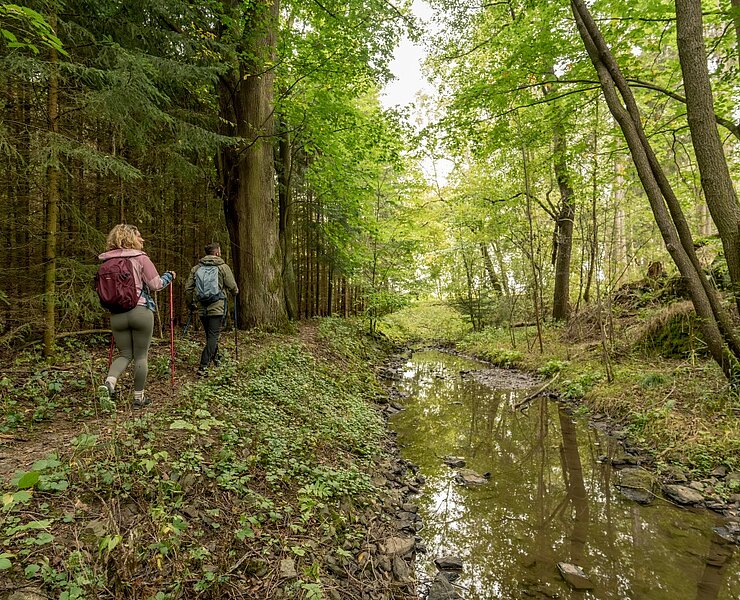 Kammweg Etappe 16 Kenitzbachtal ()