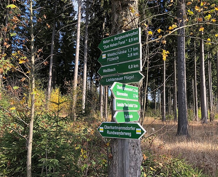 Wegweiser im Hartmannsdorfer Forst am Wettiner Platz (Christfried Nicolaus, Hartmannsdorf)