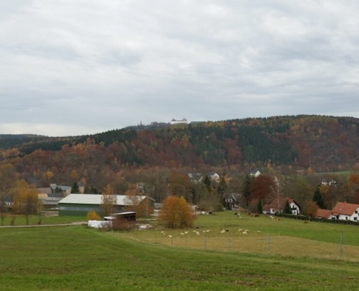 Großer Rundweg Erdmannsdorf Ausblick (Doreen Fiebig)