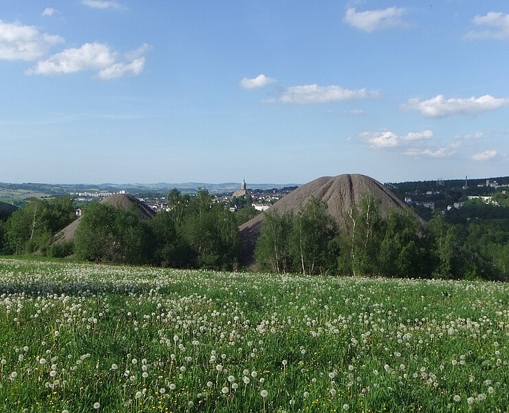 Bergbaulandschaft Buchholz - Terrakonikhalden Schacht 116 ()