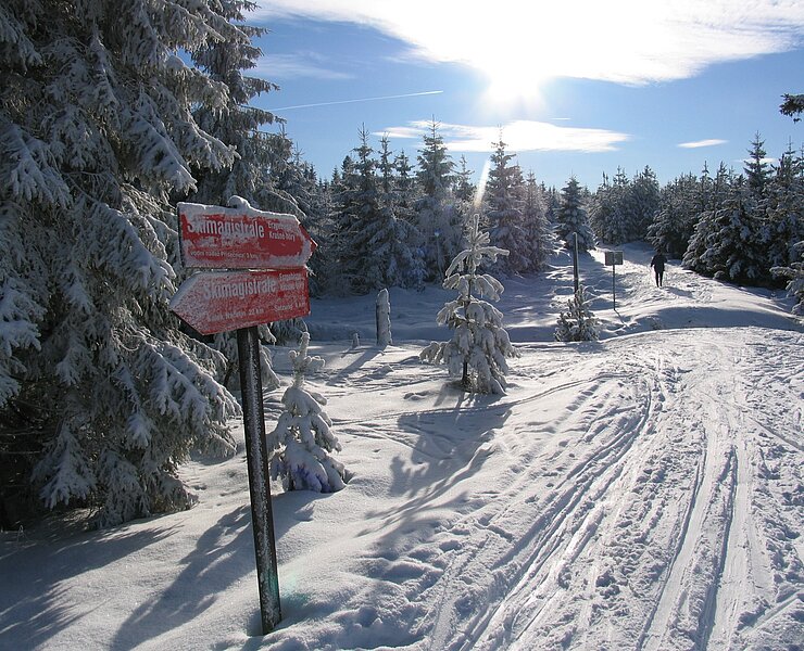 Skimagistrale (Satzung) (Steffen Ullmann)