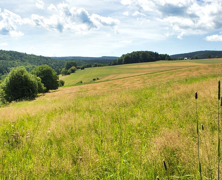 weite Landschaften ()