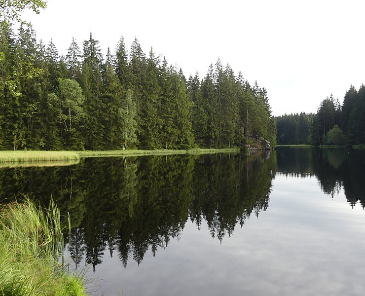  (Steffen Thränert, Natur- und Landschaftsführer)
