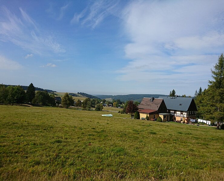 Impressionen am Wegesrand (Ingrid Meyer)