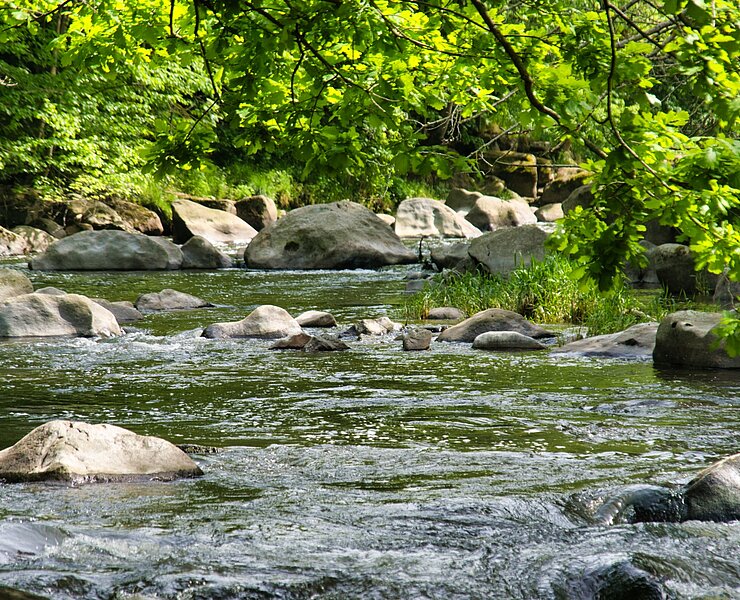Fluss Chemnitz bei Markersdorf (Bastian Rakow)