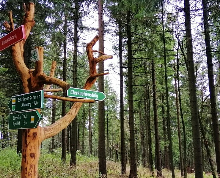 Wandern in der Urlaubsregion Altenberg ()