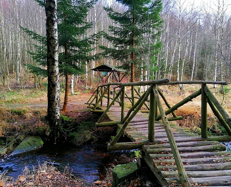 Wandern an der Roten Weißeritz Schellerhau ()