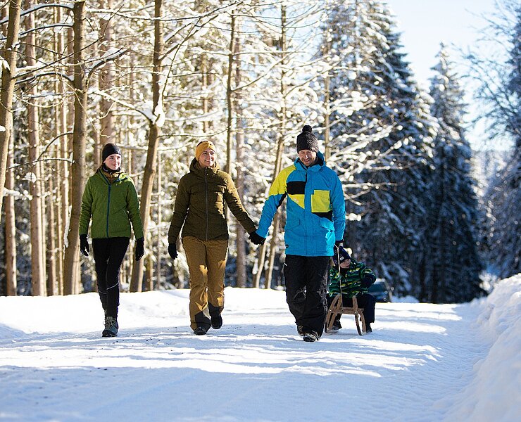 Winterwandern im Erzgebirge ( Studio2media)