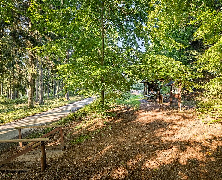 Rätseln und Rasten im Bürgerwald (Fresia Photography)