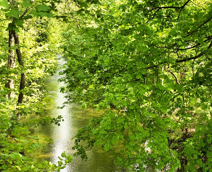 Im Flöhatal bei Hirschberg ()
