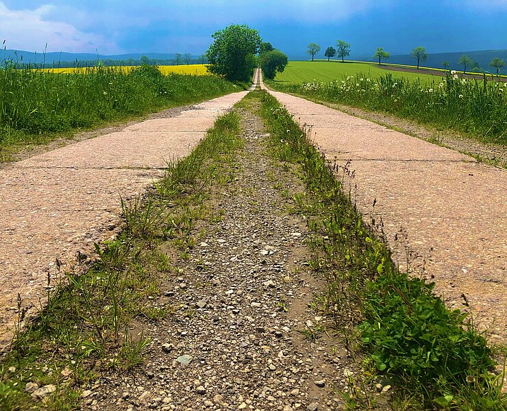 Firstenweg Richtung Cranzahl (Andreas Göbel)