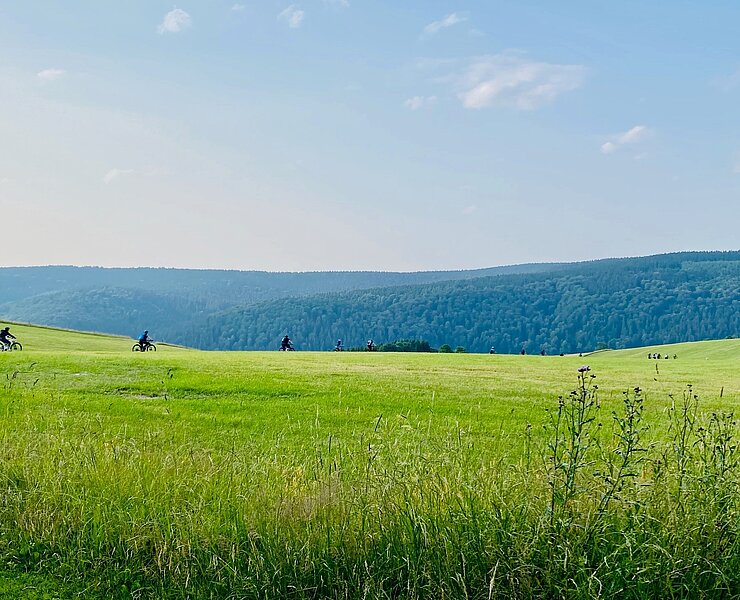 BLOCKLINE Abfahrt Holzhau zum Berghotel Talblick (Tourismusverband Erzgebirge e.V. )