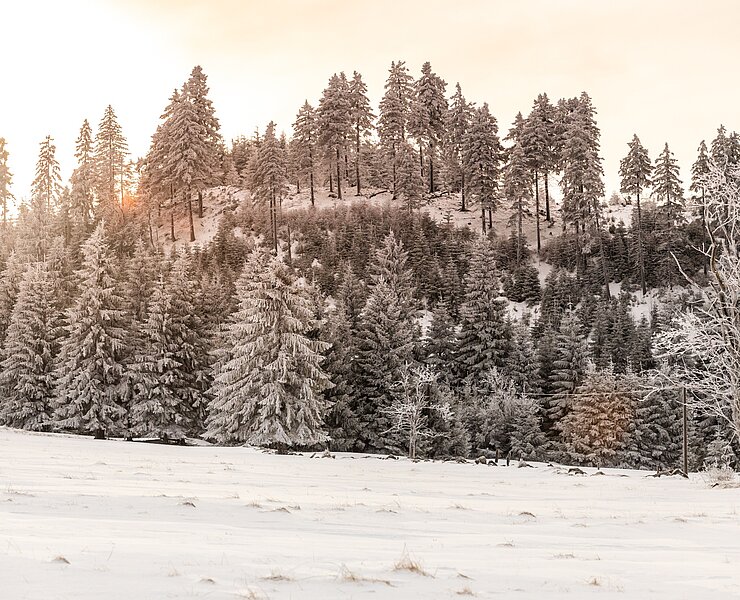 Stonemen on Snow (Photoron Ronny Küttner)