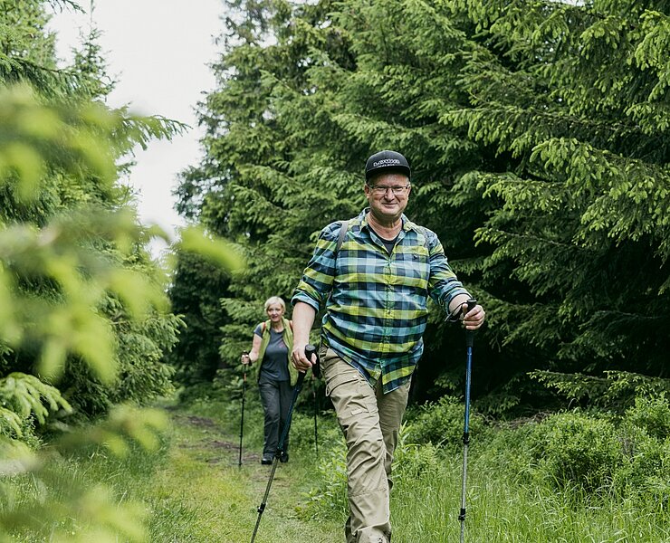 In den Wäldern des Erzgebirges (Dirk Rückschloss)