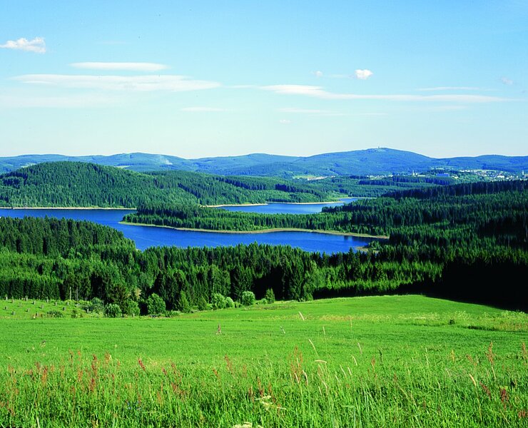 Talsperre Eibenstock mit Auersberg von Hundshübel aus ()