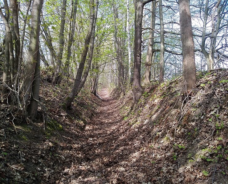 Rundwanderweg Witzschdorf (Steffen Haupt)