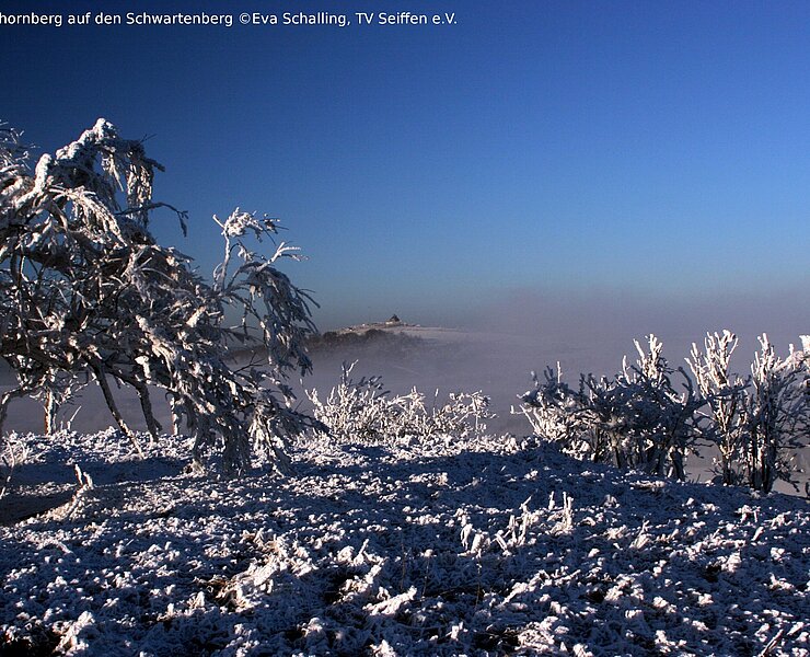 Blick vom Ahornberg auf den Schwartenberg (Ronny Schwarz)