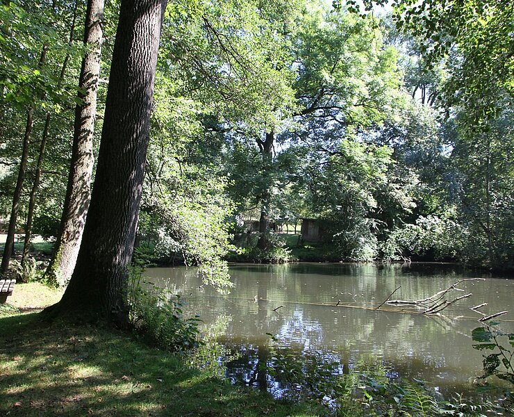 Hammerteich (Stadt Zwönitz)