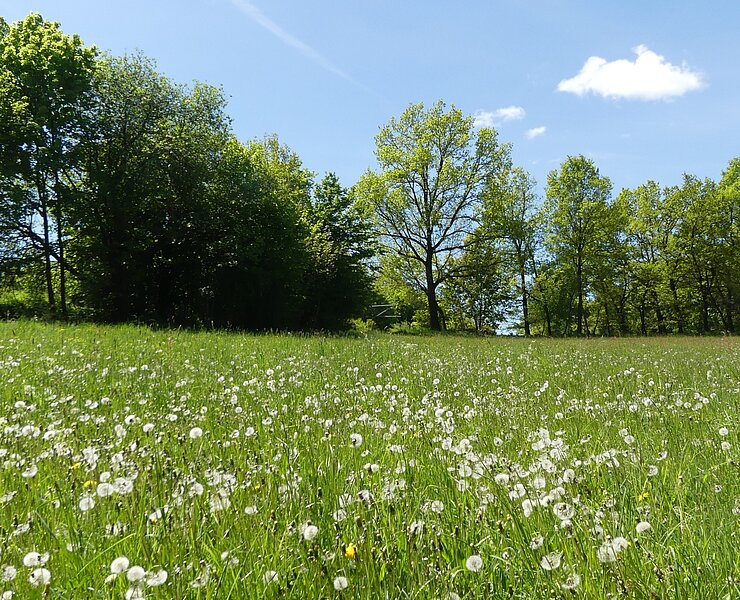  (Steffen Thränert, Natur- und Landschaftsführer)