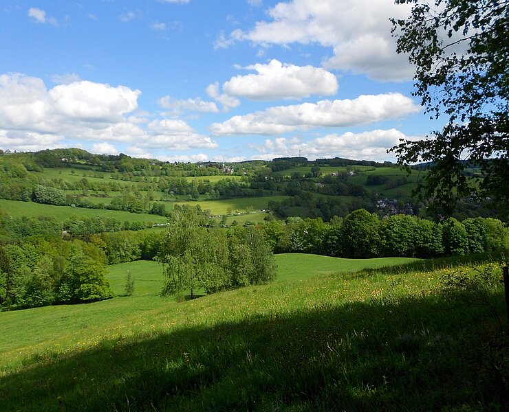 Unterwegs in der Natur (Verwaltungsverband Wildenstein)