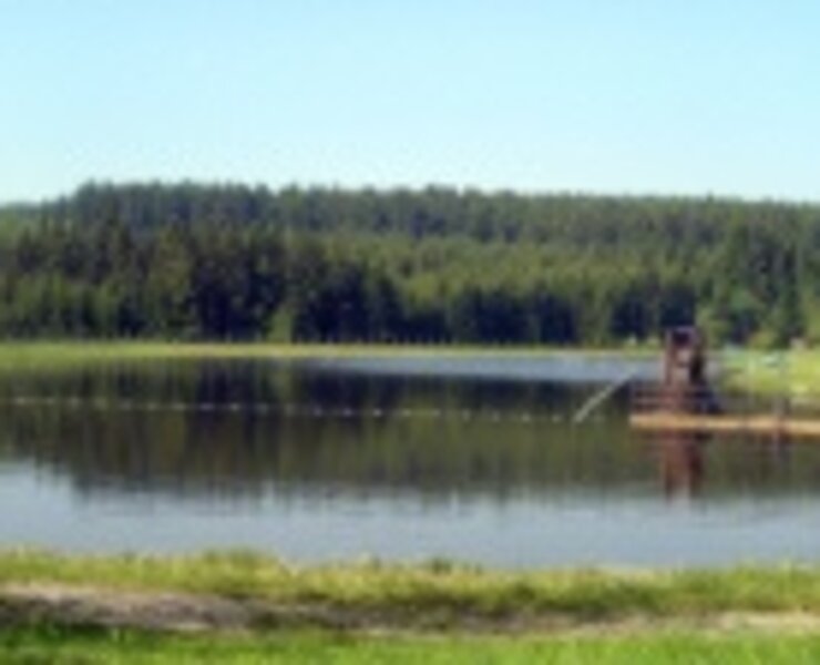 Johanngeorgenstadt im Westerzgebirge, Naturfreibad (Rainer Wesely)