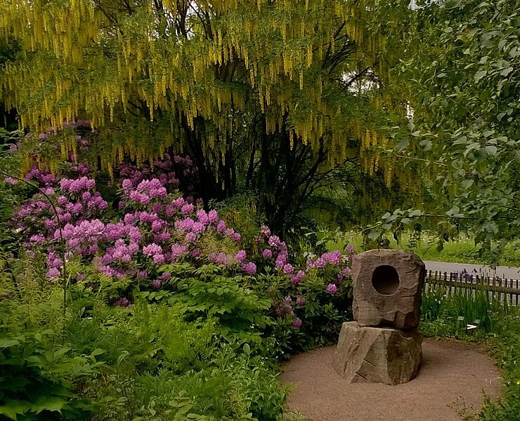 Blick in den Botanischen Garten Schellerhau (Naturbewahrung Osterzgebirge)