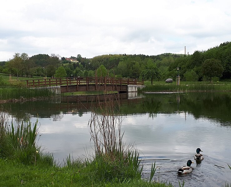 Teich im Kurpark in Bad Schlema ()
