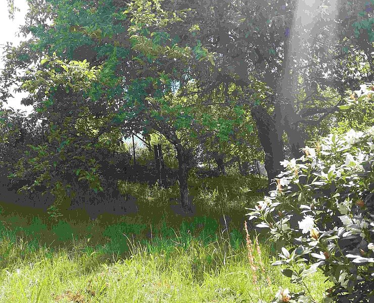 Garten - 4 ()
