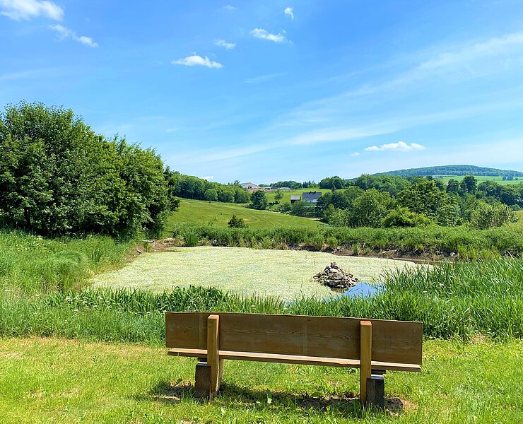Glashüttenteich- ein idyllischer Ort  zum Verweilen (Tourismusverband Erzgebirge e.V. )