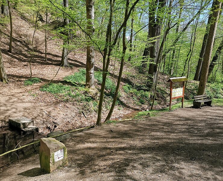 Walderlebnispfad Wechselburg - Station 2 (Bastian Rakow)