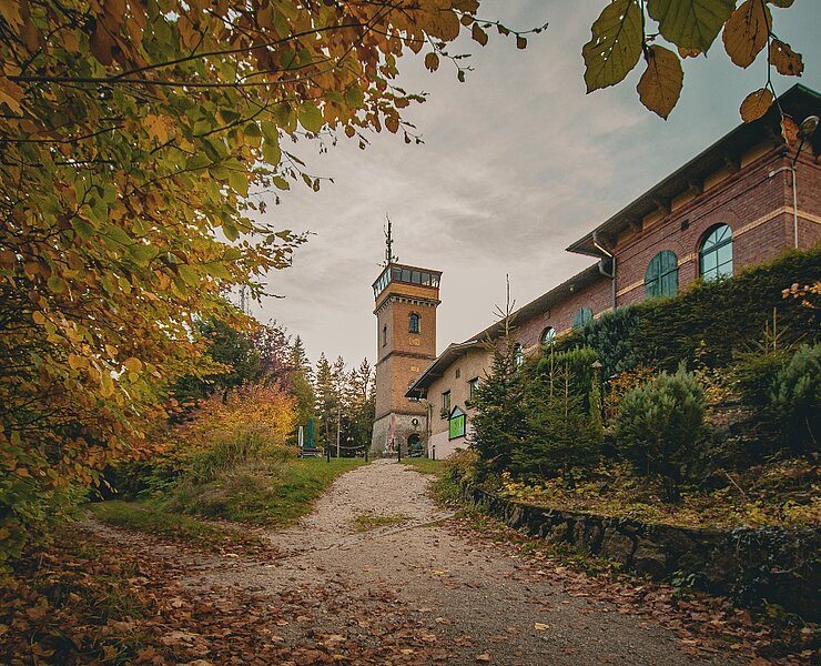 Gleesberg Schneeberg (Theresa Seidler)