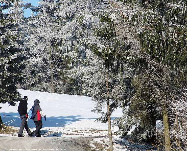 Winterwanderung in Rechenberg-Bienenmühle ()