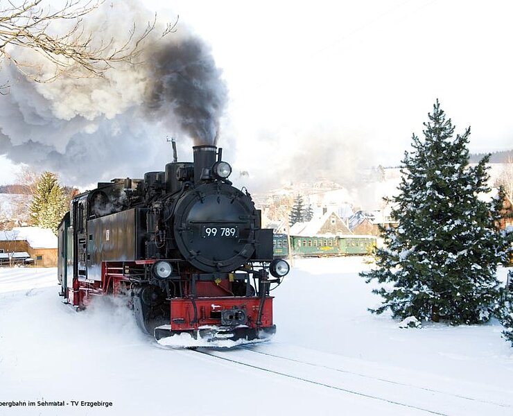 Mit der Fichtelbergbahn im Sehmatal (Ronny Schwarz)