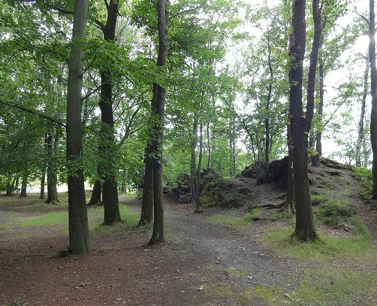 Stadtpark Thum ()
