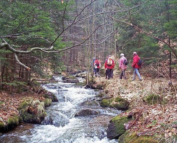 "Floßmeister" im Rungstocktal (Matthias Drechsel)