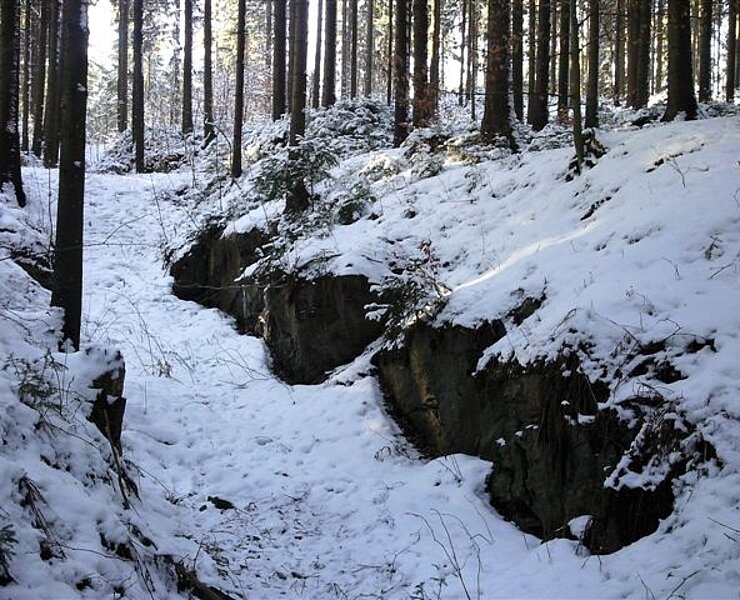 Steinbüschel - Friedrich August Höhe im Winter (Thomas Jäger)