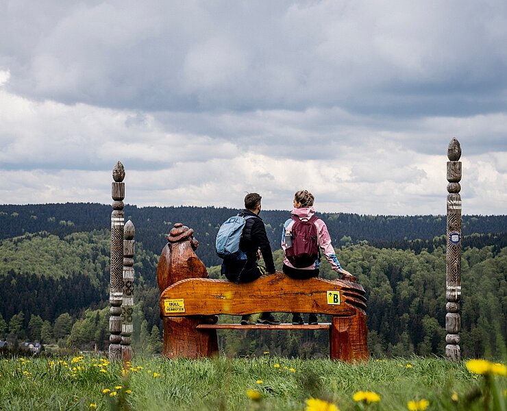Aussicht auf Holzhau (Dirk Rückschloss)