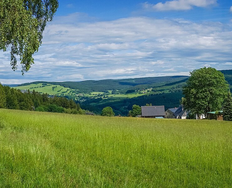 Panoramablick von Steinheidel (Tobias Rudelt)