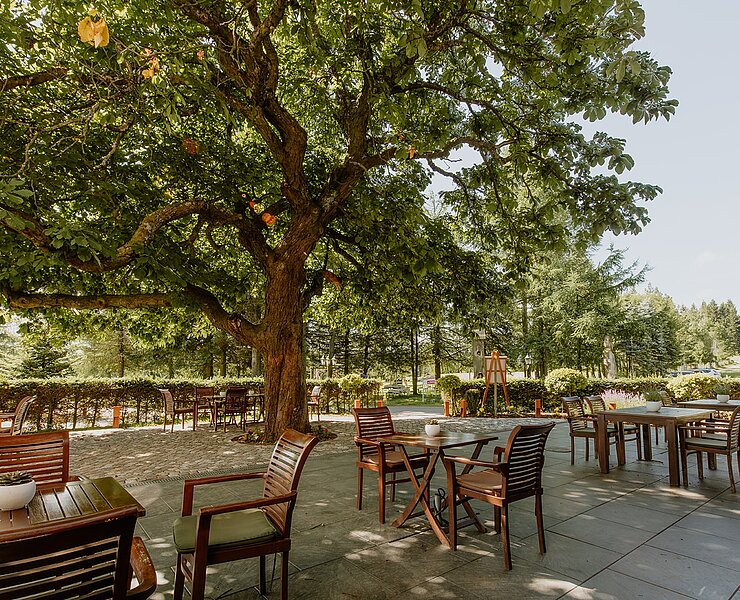 Waldhotel Kreuztanne Biergarten (Hilde Lenaerts)
