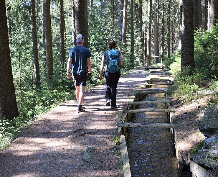 Wanderung am Röhrgraben (Corinna Bergelt)