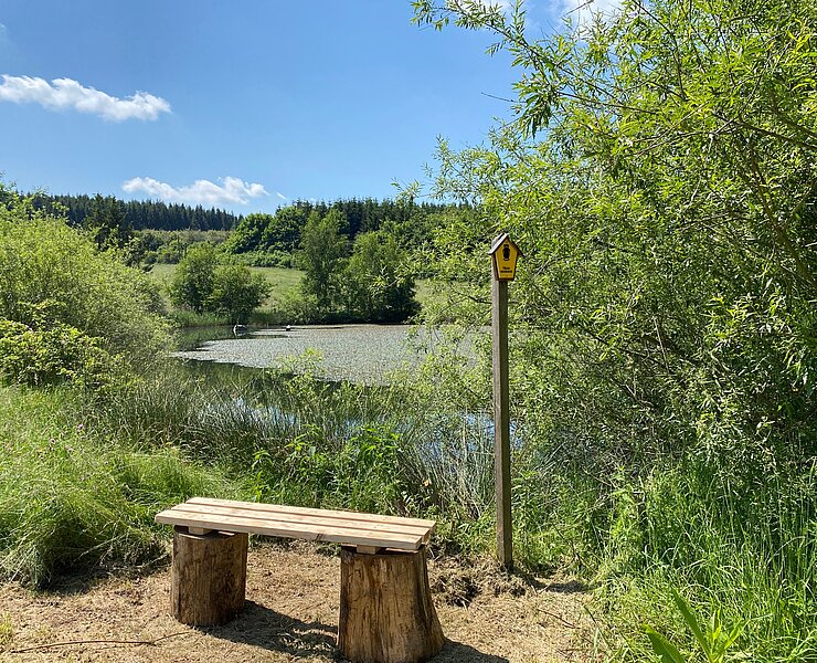 Bank auf dem Bienenlehrpfad Jahnsgrün und Oberhartmannsdorfer Rundweg am Jahnsgrüner Teich (Christfried Nicolaus, Hartmannsdorf)