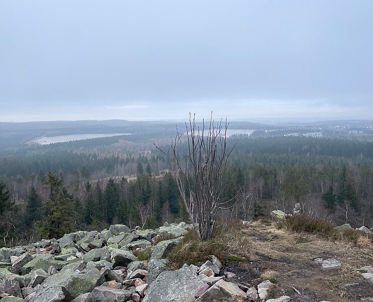 Blick vom Kahleberg ()