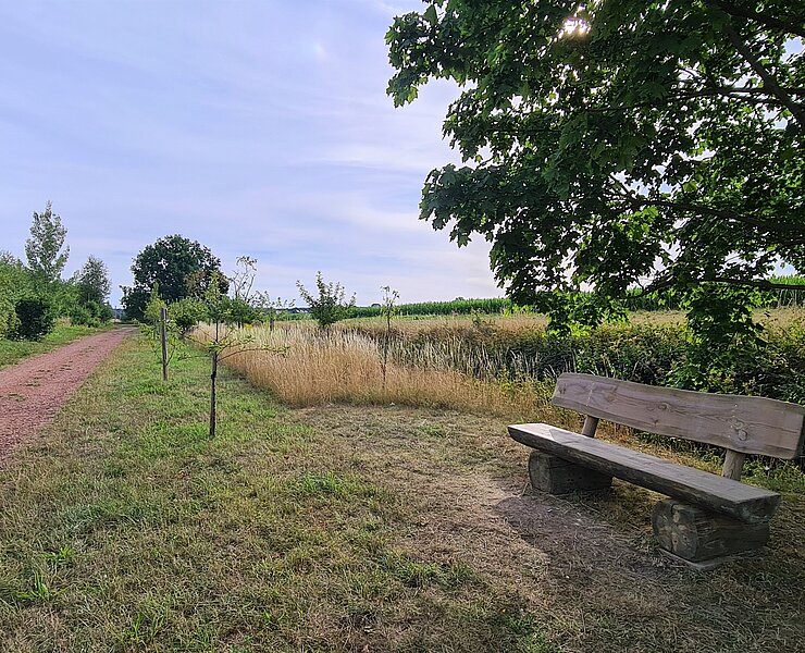 Ruhebank (Gemeinde Jahnsdorf)