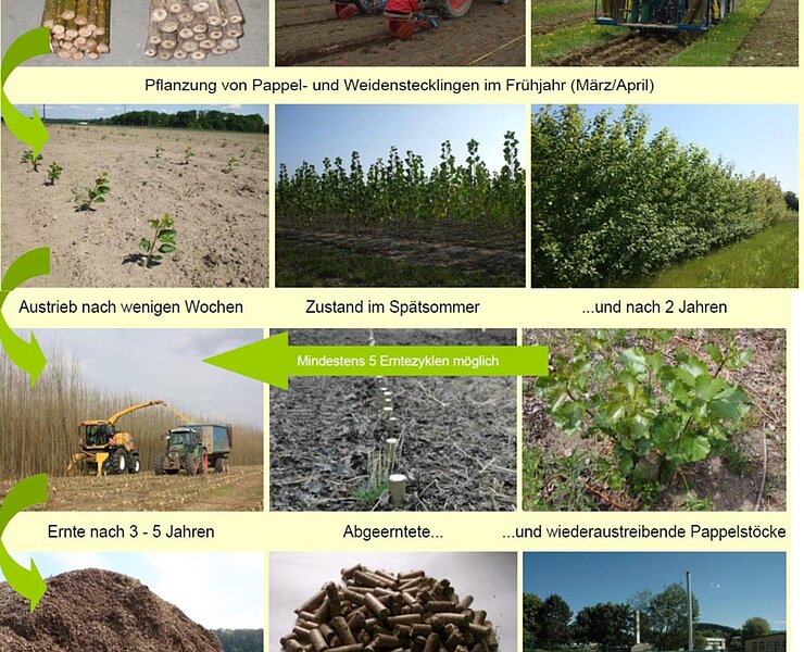  (Ronny Schwarz)