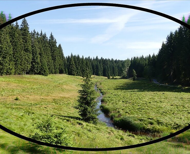 Die DEFINITIV schönste Wanderung des Erzgebirges ??? Das Schwarzwassertal bei Pobershau ()