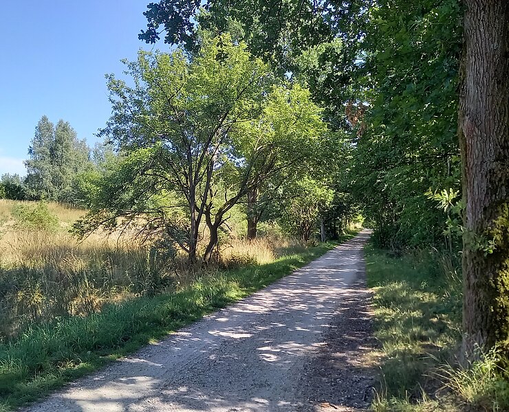 03 Viele Vogelarten zwitschern und brüten am Rand des Weges.jpg ()