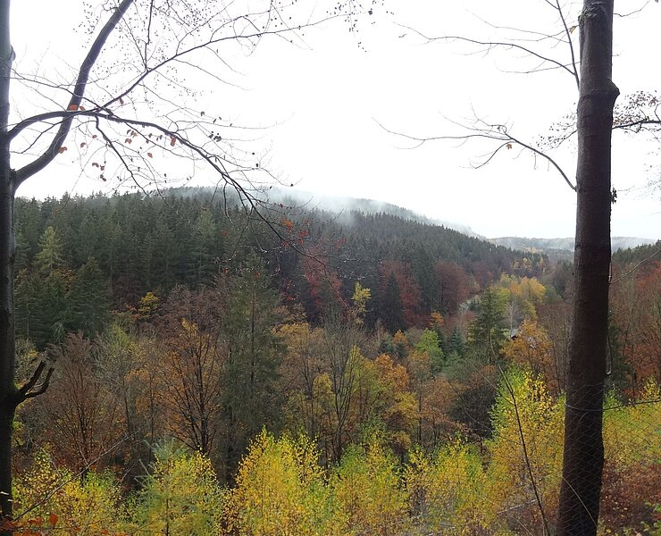 Aussicht zwischen Wilischthal und Scharfenstein ()