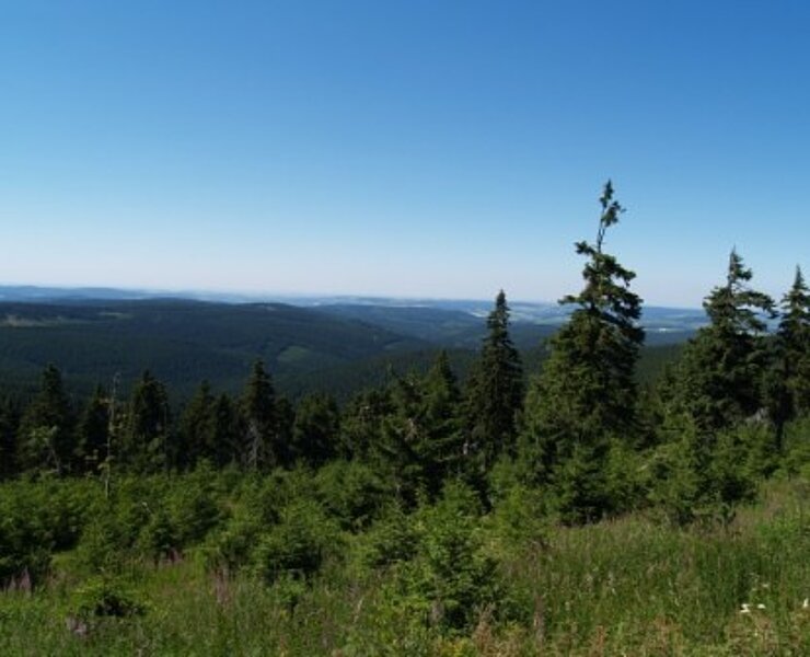 Blick vom Plattenberg (Rainer Wesely)