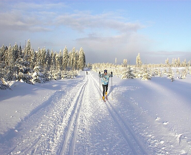 Winterzauber auf der Kammloipe (Henry Pansch)